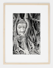 Rooted Buddha (Available for a Limited Time)