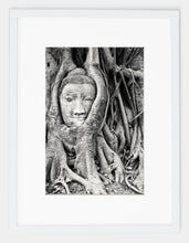 Rooted Buddha (Available for a Limited Time)